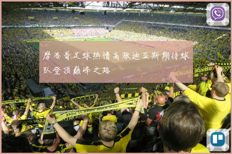 摩洛哥足球热情高涨迪亚斯期待球队登顶巅峰之路
