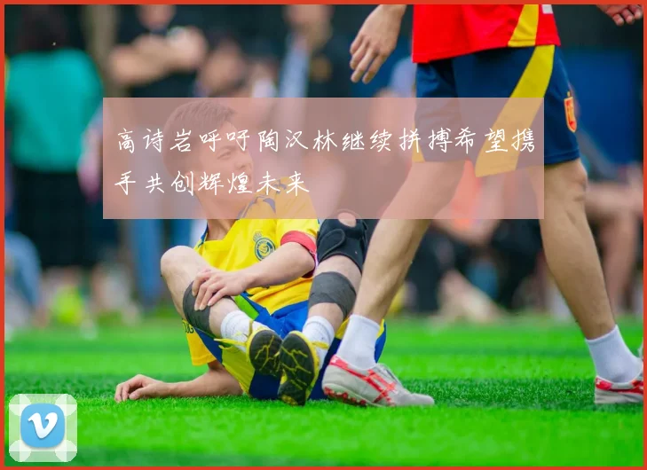 高诗岩呼吁陶汉林继续拼搏希望携手共创辉煌未来